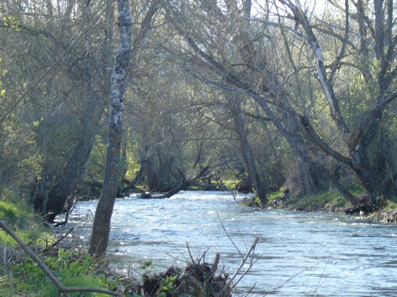 Camping De Cervera De Buitrago Екстериор снимка